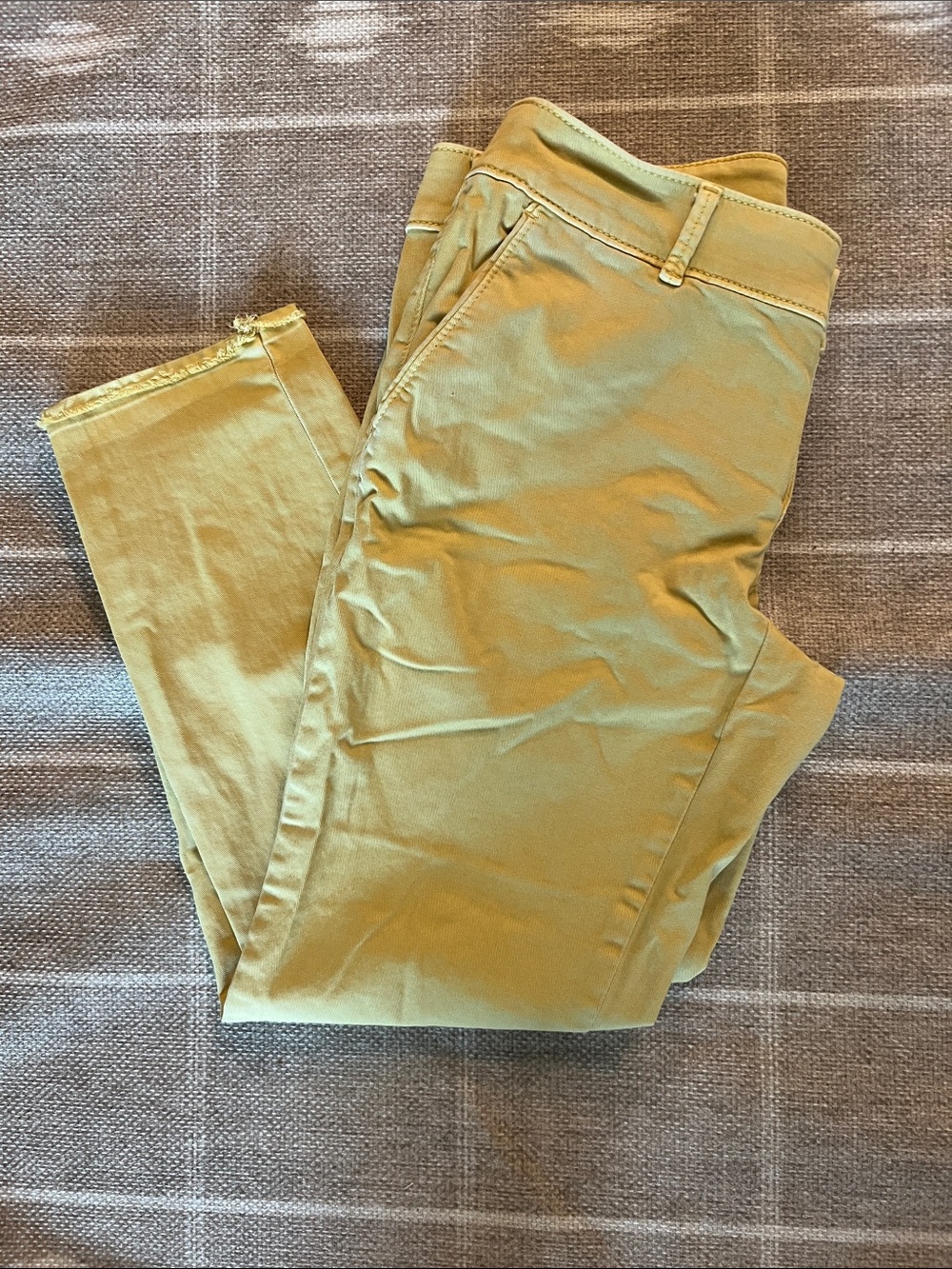 LOFT Skinny Jeans in Olive Green